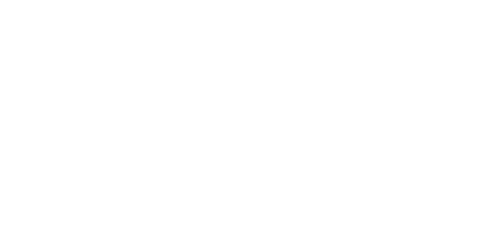 Veterans Inclusion Project